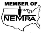 Member of NEMRA